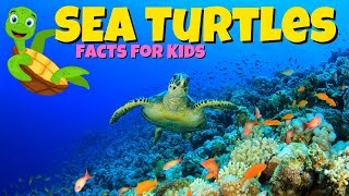 Sea Turtle Facts For Kids  World Sea Turtle Day [upl. by Erodasi]