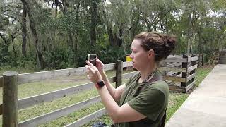 Paynes Prairie Preserve State Park Camping Trip Part 11 [upl. by Johiah23]