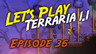 Episode 36 Terraria  Deathweed [upl. by Alvita]