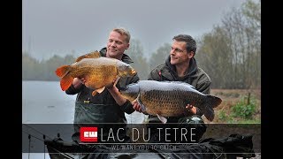 Lac de Tertre karpervissen in Belgie Carp Whisperer TV [upl. by Morehouse]