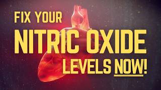 Why Nitric Oxide Is Key to Longevity What Older Adults Need to Know [upl. by Vern532]