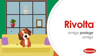 Protección antiparasitaria para tu mascota 🐶🐱  Rivolta® 6 y 12 [upl. by Nilekcaj26]