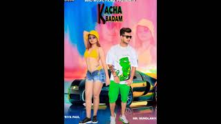 Kacha Badam  Official Music  kacha badam song  Mad Music Films [upl. by Ajiam449]