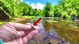 This Tiny Bait Is Simply Amazing For Panfish Fishing [upl. by Mairim]