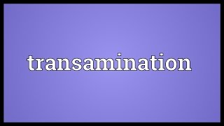 Transamination Meaning [upl. by Mears900]