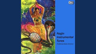 Nagin Instrumental Tune 1 [upl. by Frederique353]