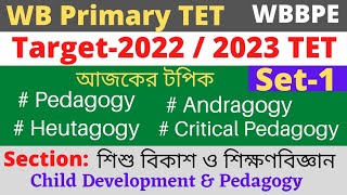 Pedagogy Andragogy Heutagogy amp Critical Pedagogy  পর্ব১ Set1 For WB Primary TET [upl. by Dwight]