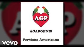 Agapornis  Persiana Americana Pseudo Video [upl. by Parks]