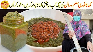 Special Chatkhara Chutney Recipe  Chutney Banane Ka Tarika  Tamatar Chutney  Village Handi Roti [upl. by Neraa]