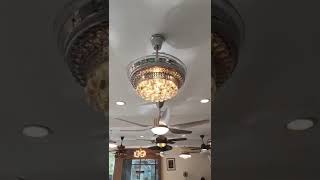 Statement Piece for Living Rooms  Chandelier Fans with Lights  Fandelier Fanzart Fans [upl. by Nitfa470]