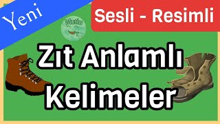 Zıt Anlamlı Kelimeler  Zıt Kelimeler  Zıt Anlamlı Kelimeler 2 Sınıf  1 Sınıf Zıt Kelimeler [upl. by Iahc]