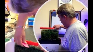 DIY ALGAE TURF SCRUBBER UPDATE 3 [upl. by Walling]