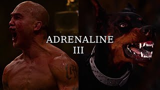 ADRENALINE III [upl. by Amalle491]