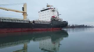 Patagonman approaching Flight Locks Welland Canal 111524 [upl. by Nillad]