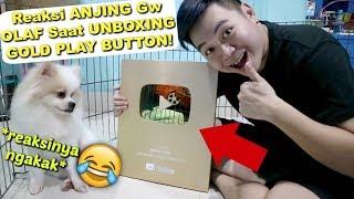 ANJING GW OLAF UNBOXING GOLD PLAY BUTTON Dia Kaget [upl. by Jonis]