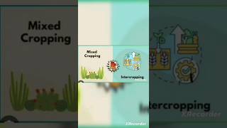 Maximizing Yield Mixed Cropping and Intercropping Demystified  Class 9 Edition ytshorts shorts [upl. by Ybhsa]