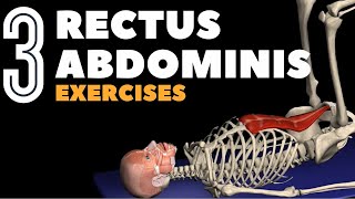 Target Your Rectus Abdominis with 3 Ab Exercises [upl. by Laurita96]