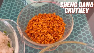 Shengdana Chutney  Sing ki Chatni  सींग की चटनी  Peanut Chutney  Zulekhas Kitchen Recipes [upl. by Batholomew803]