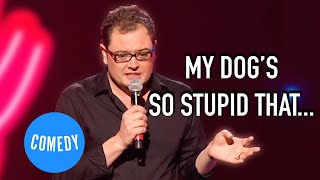 Alan Carr On The Perils Of Being a New Dog Owner  Spexy Beast  Universal Comedy [upl. by Beckman]