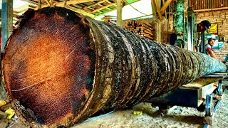 This is the longest form of coconut wood and is as hard as iron [upl. by Nilrem]