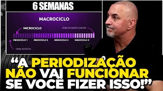 A Verdade Sobre Periodização na Musculação Vale a Pena [upl. by Adnalue234]