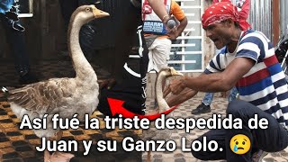 La triste despedida de Juan y su Ganzo Lolo 💔😭 juliolorenzo nota viralshort viralvideo lolo 1a [upl. by Graehme605]