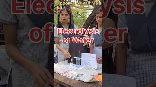 Electrolysis of Water science chemistry Vigyan experiment hydrogen oxygen scienceshorts [upl. by Killie295]