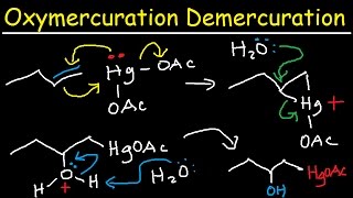 Oxymercuration Demercuration Mechanism of Alkenes amp Alkoxymercuration Reaction Organic Chemistry [upl. by Allegra]