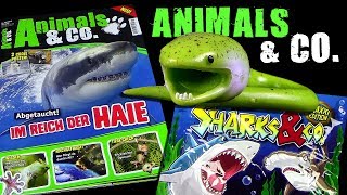 Animals amp Co Nr 3 2019 mit Sharks amp Co von DeAgostini ® Review [upl. by Haem337]