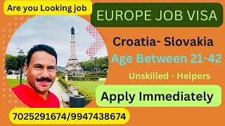 Work  Job Visa  Europe  Unskilled Jobs [upl. by Anaek677]