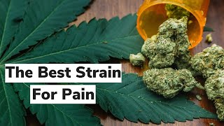 Find Your Best Strain for Pain  Discover Marijuana [upl. by Harle]