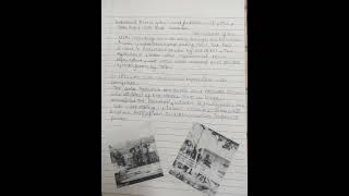 project on Displacing indigenous people class 11  term 2 History [upl. by Gusti538]