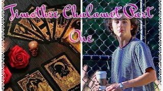 Celebrity reading for Timothee Chalamet Part One [upl. by Avehstab391]