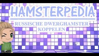 📚 HAMSTERPEDIA 1 Russische Dwerghamsters koppelen [upl. by Schechter622]