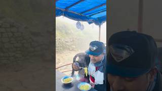 सबसे जल्दी तयार होती है खाने मे😋😢❤️maggi food shorts shortfeed cooking [upl. by Adnohsal]