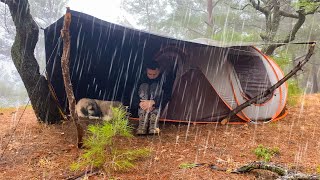 2 Days in the Forest in Heavy Rain • Rain Camping Rainstorm Flood Bad Weather [upl. by Danica]