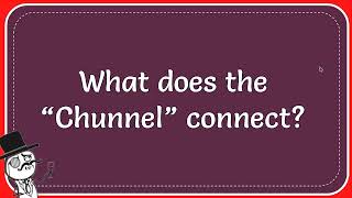 What Does The “Chunnel” Connect [upl. by Moorefield]