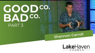 Good Co Bad Co Part 3  Shannon Carroll [upl. by Kisor]