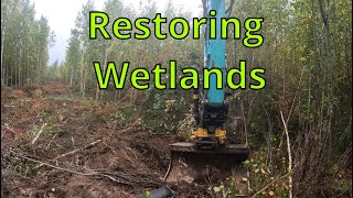 Part 3 Restoring Wetlands in Sweden Relaxing Excavator in cab view Timelapse [upl. by Auvil993]