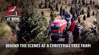 Behind The Scenes at a Christmas Tree Farm  At Home With Massey Ferguson [upl. by Yarw910]