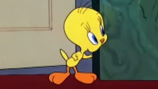 Tweety Bird  Looney Tunes  Moviegames 2014 HD [upl. by Bedelia]