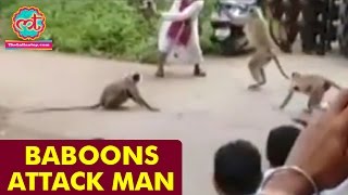 Baboons Attack Man  The Lallantop [upl. by Tihom]