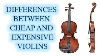 Difference Between Cheap and Expensive Violins  KV [upl. by Hartzel]