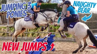 NEW JUMPS JUMPING ALL 3 PONIES  How to make simulated cross country fences with showjumps [upl. by Nivla159]