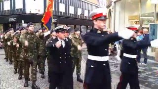 Sheffield Armed Forces Day [upl. by Corabella]