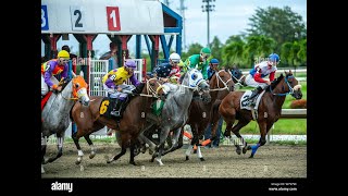 ANALISIS PARA LAS CARRERAS DE HOY DOMINGO 07 DE ABRIL 24 HIPODROMO CAMARERO [upl. by Warms]