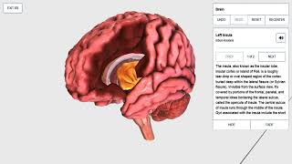 Highlights of BioDigital Human zSpace [upl. by Mathilde]