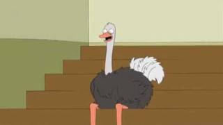 Family Guy  Ostrich Laugh [upl. by Lokcin]