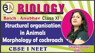 STRUCTURAL ORGANISATION IN ANIMALSMORPHOLOGY OF COCKROACH CLASS XI BIOLOGY NEET 2025 ANUBHAV [upl. by Bouchier799]