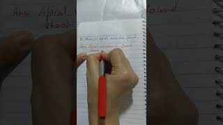 Where is apical meristem found biology bio studycentre  tissue class9 ytshorts exam [upl. by Nahamas]